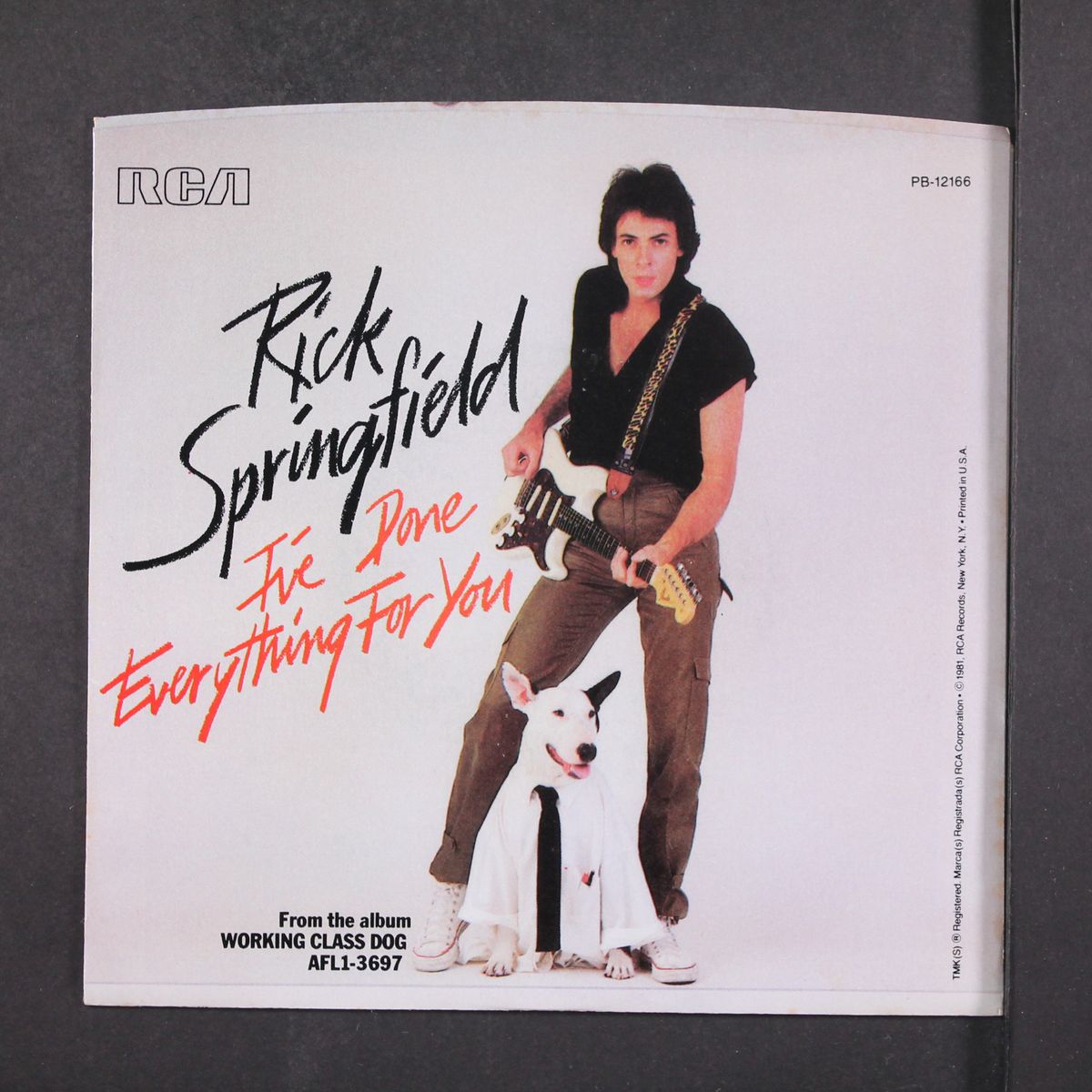 i've done everything for you by RICK SPRINGFIELD