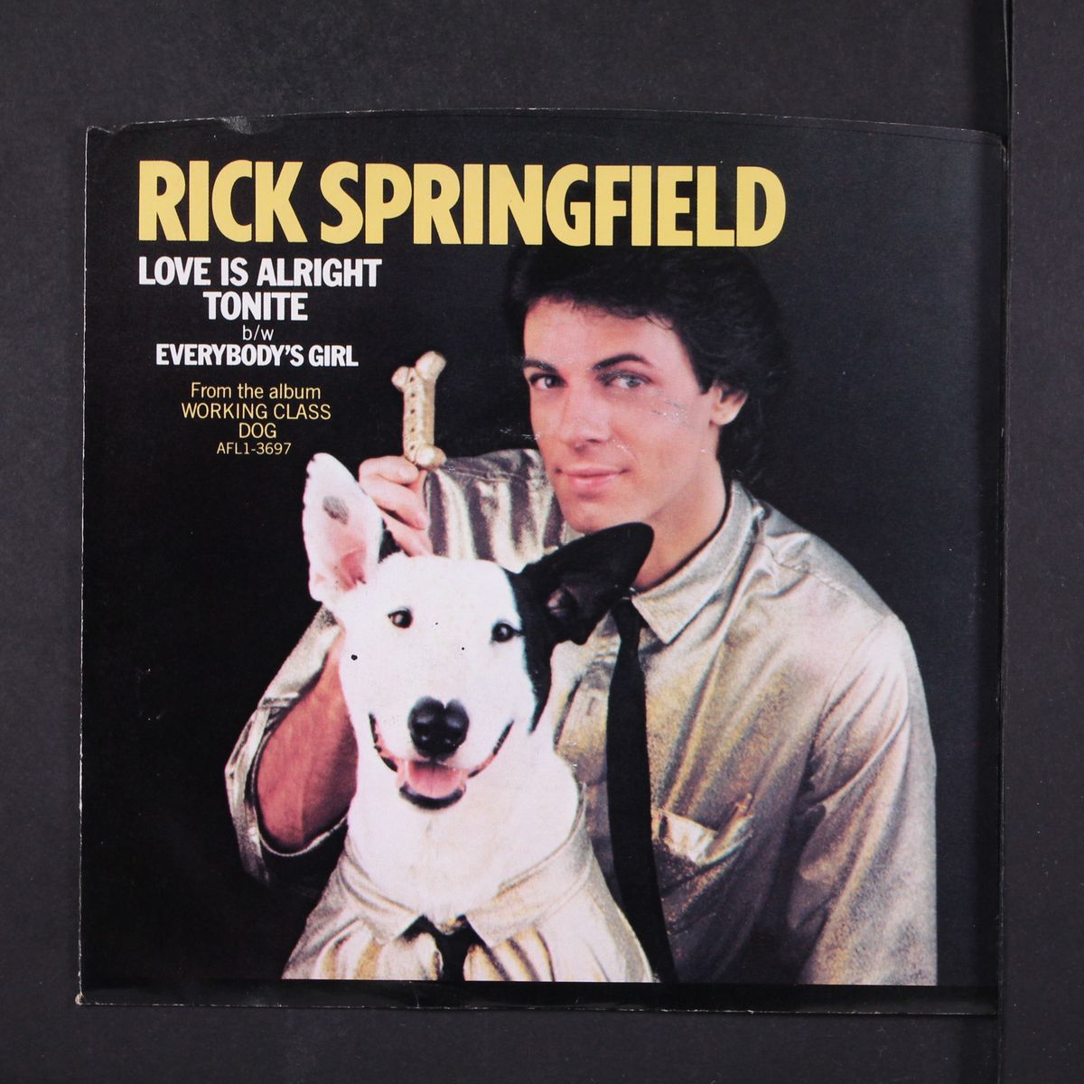 love is alright tonite by RICK SPRINGFIELD