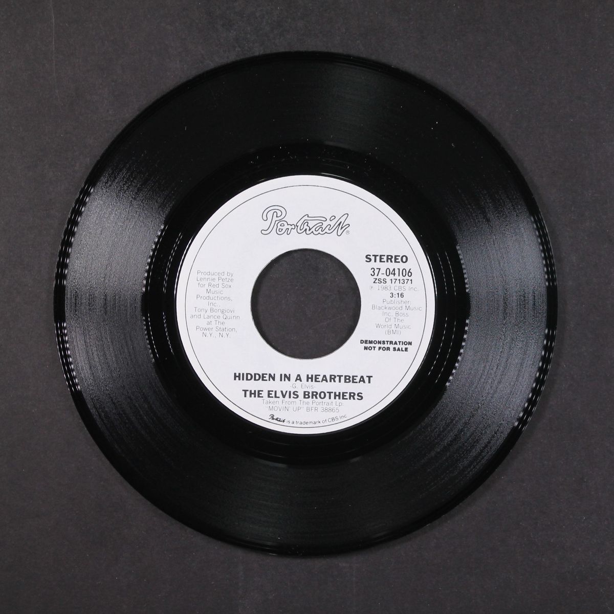 hidden in a heartbeat / same by ELVIS BROTHERS