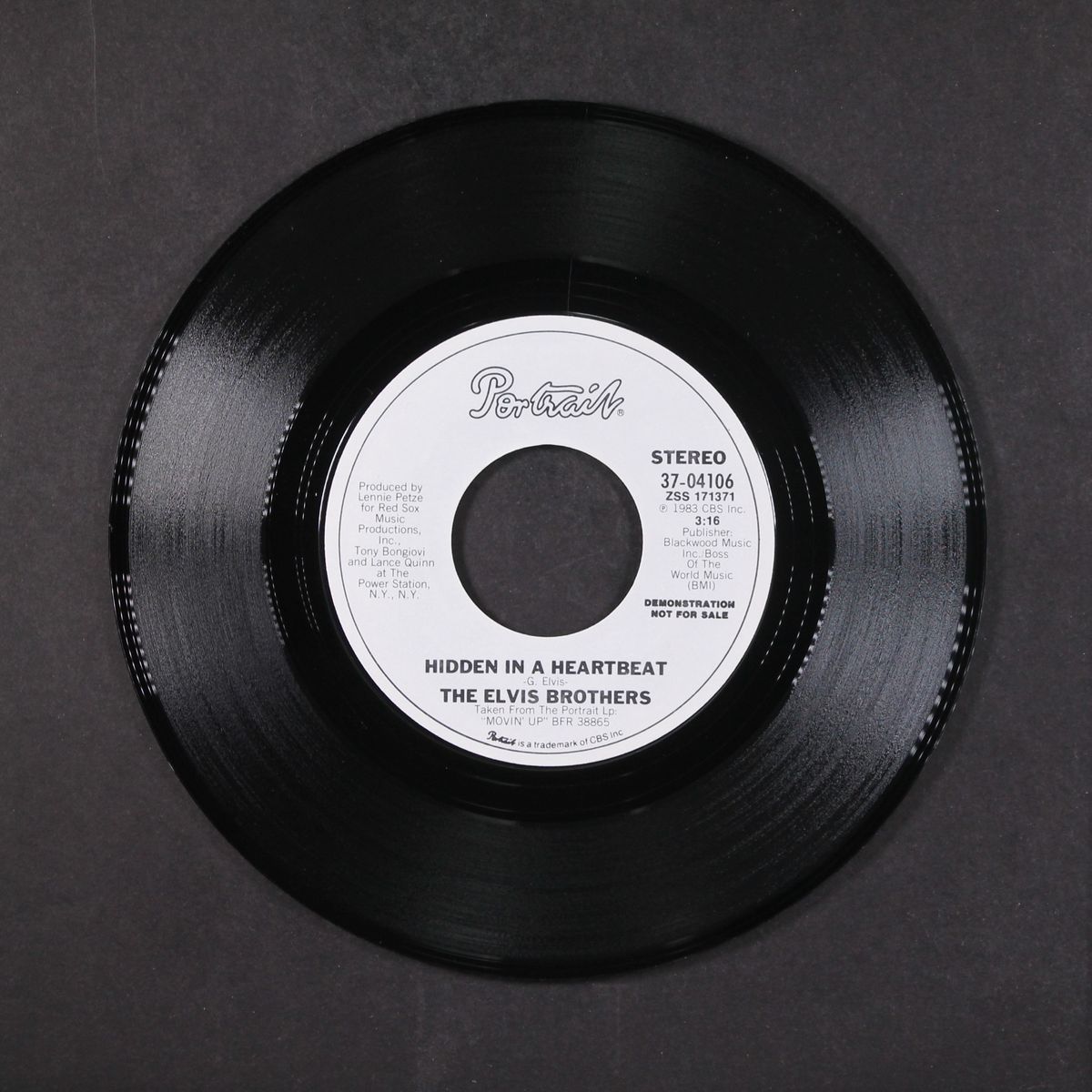 hidden in a heartbeat / same by ELVIS BROTHERS