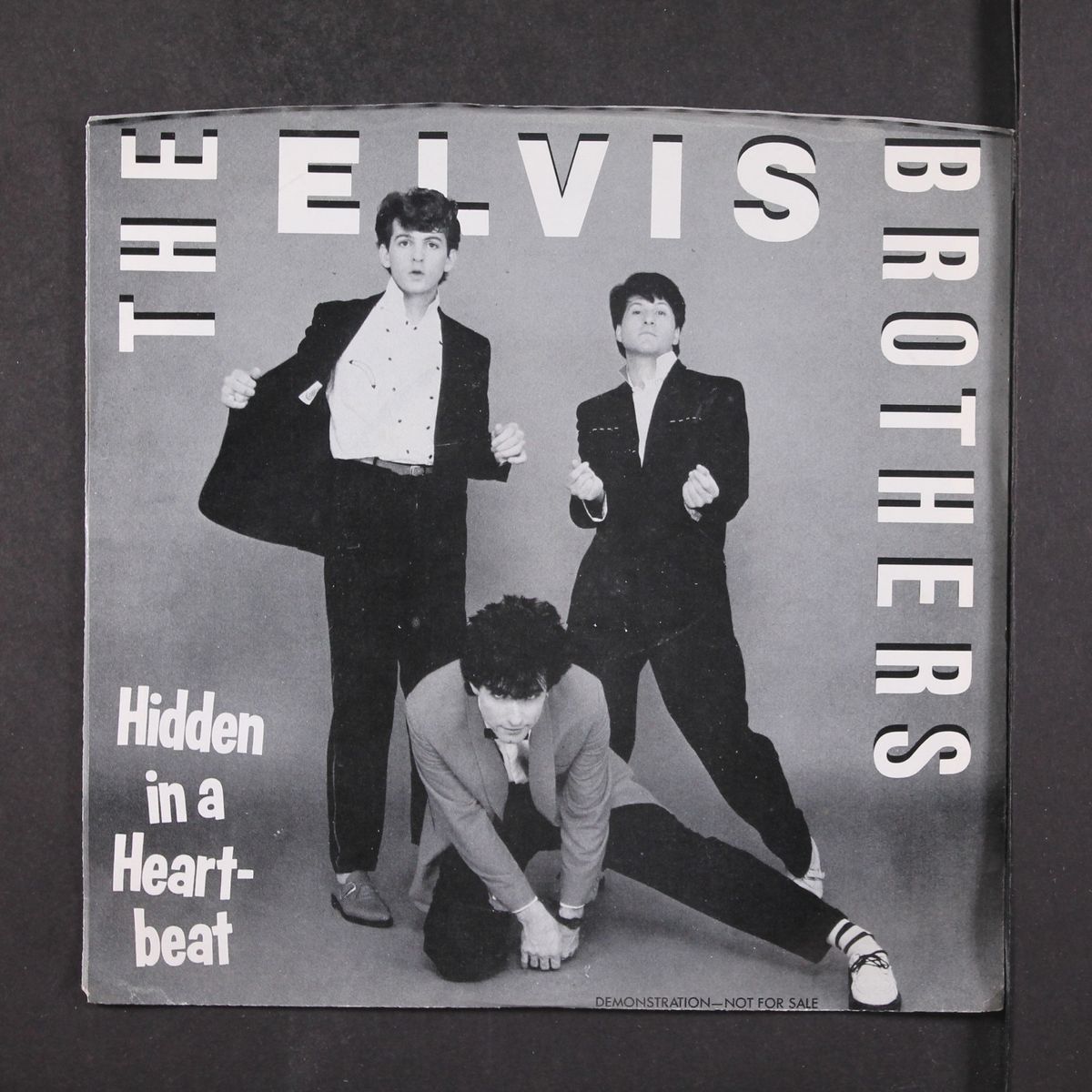 hidden in a heartbeat / same by ELVIS BROTHERS