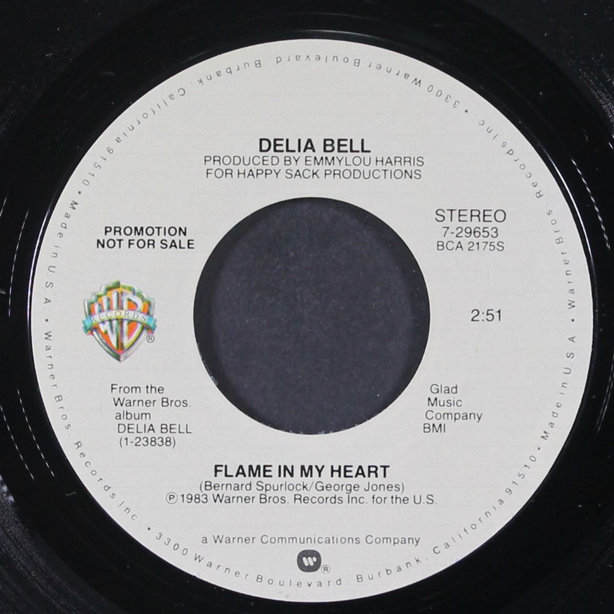 flame in my heart / mono by DELIA BELL