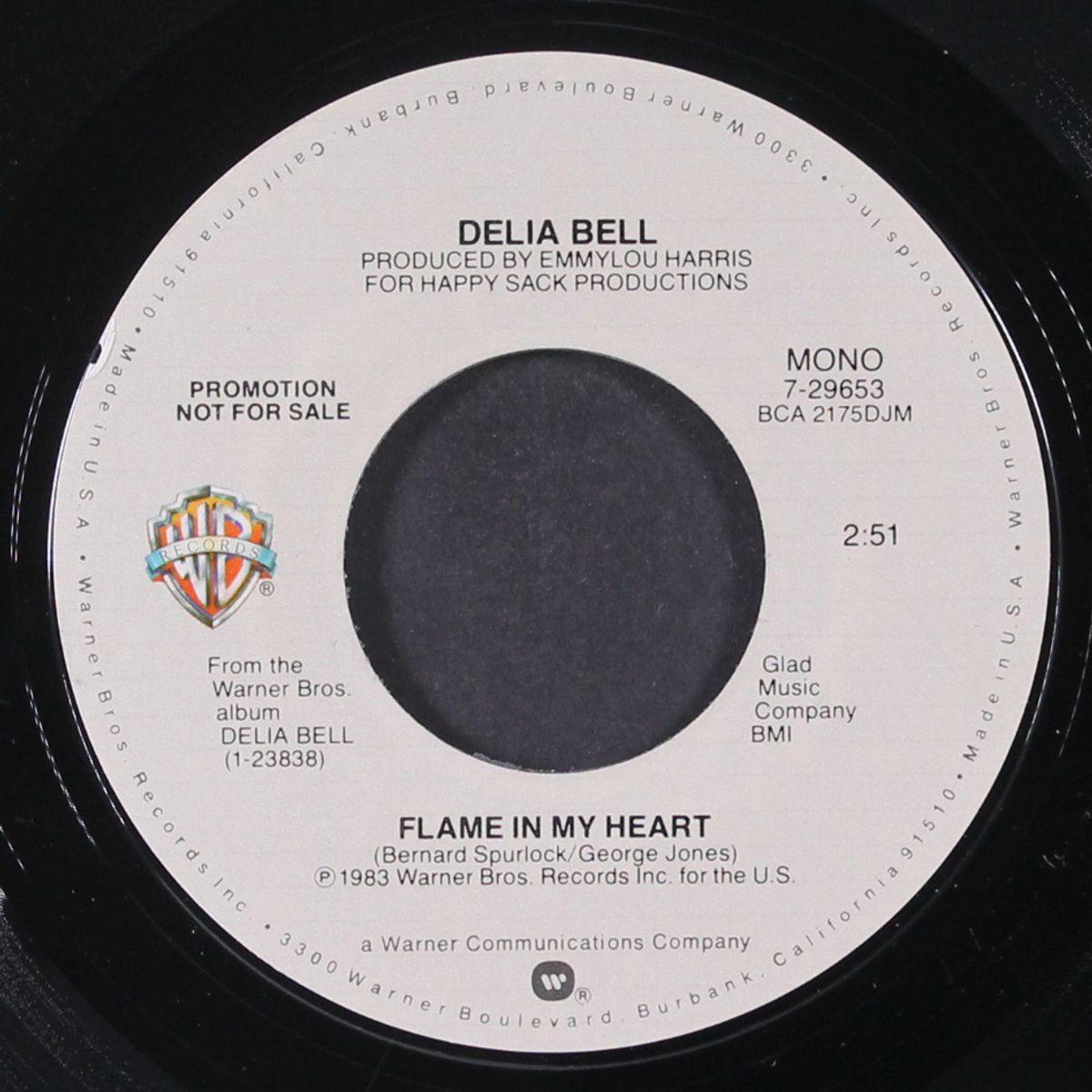 flame in my heart / mono by DELIA BELL