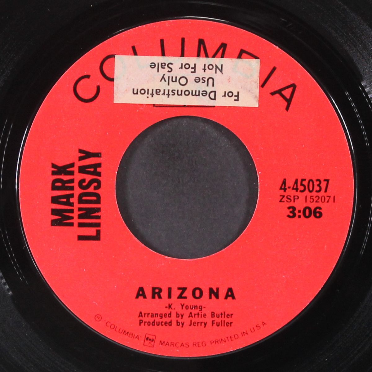arizona / man from houston by MARK LINDSAY