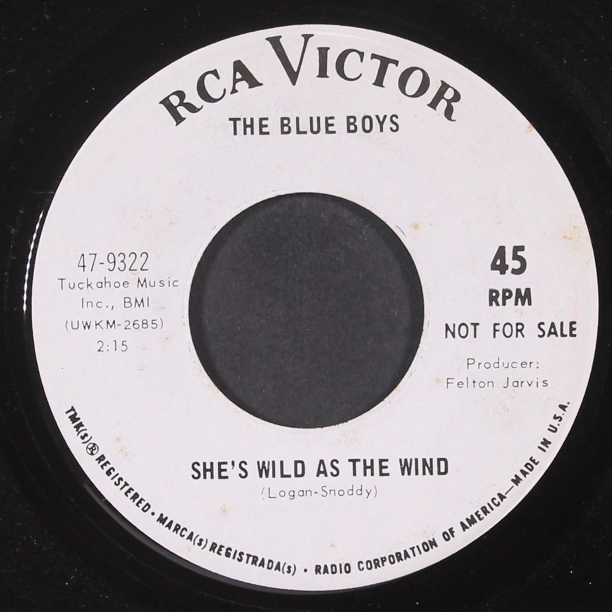 she's wild as the wind by BLUE BOYS