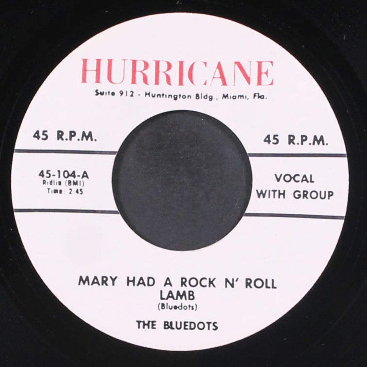 my very own / mary had a rock n' roll lamb by BLUEDOTS