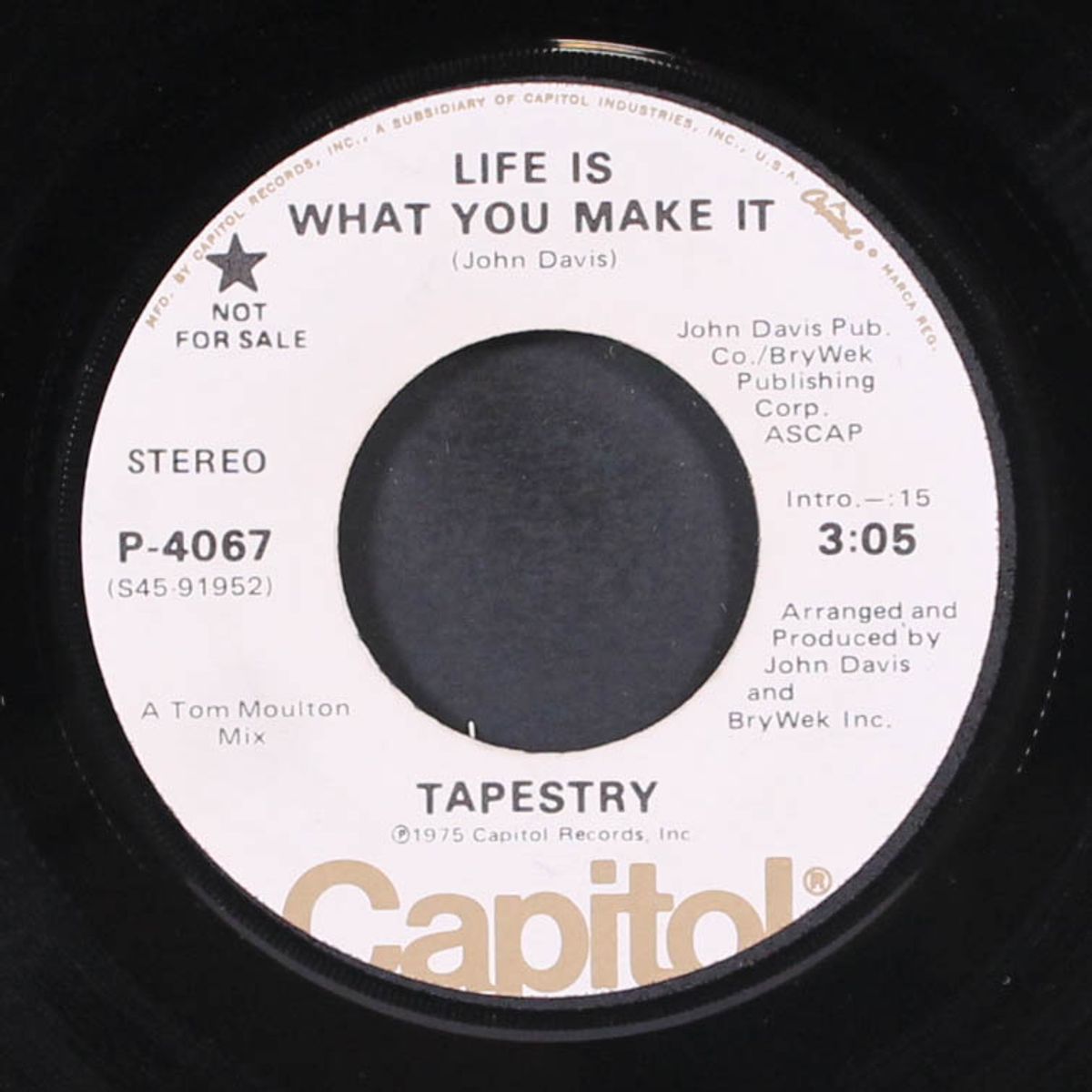 life is what you make it / mono by TAPESTRY
