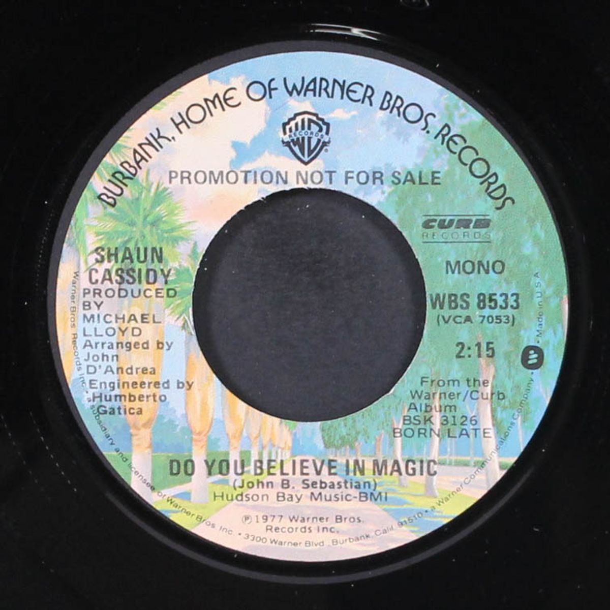 do you believe in magic by SHAUN CASSIDY