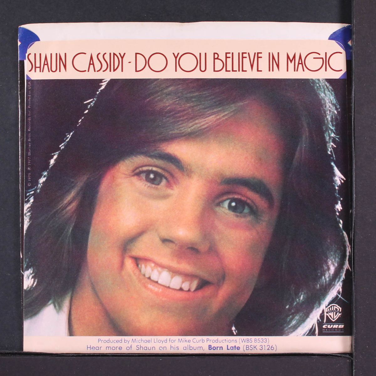 do you believe in magic by SHAUN CASSIDY
