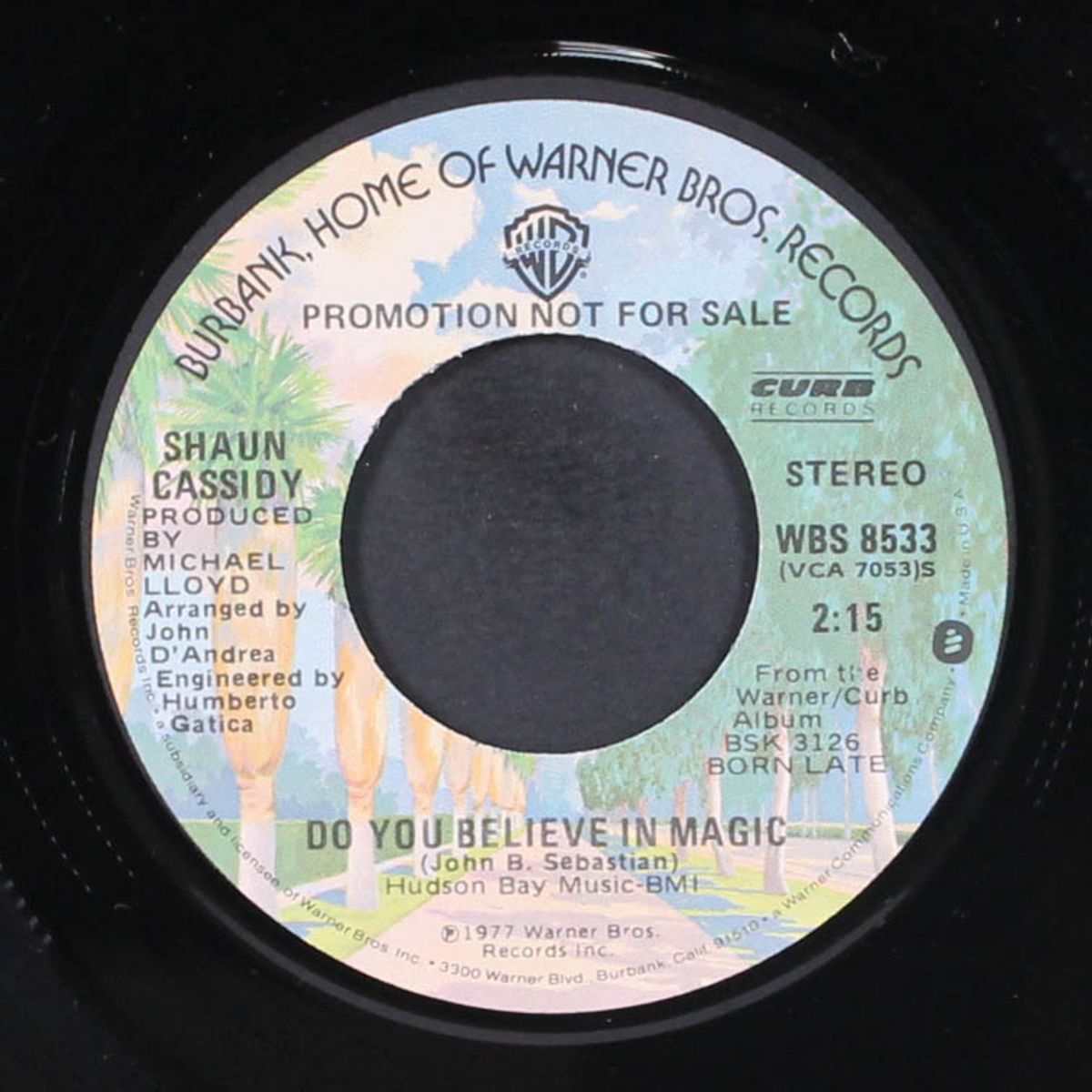 do you believe in magic by SHAUN CASSIDY