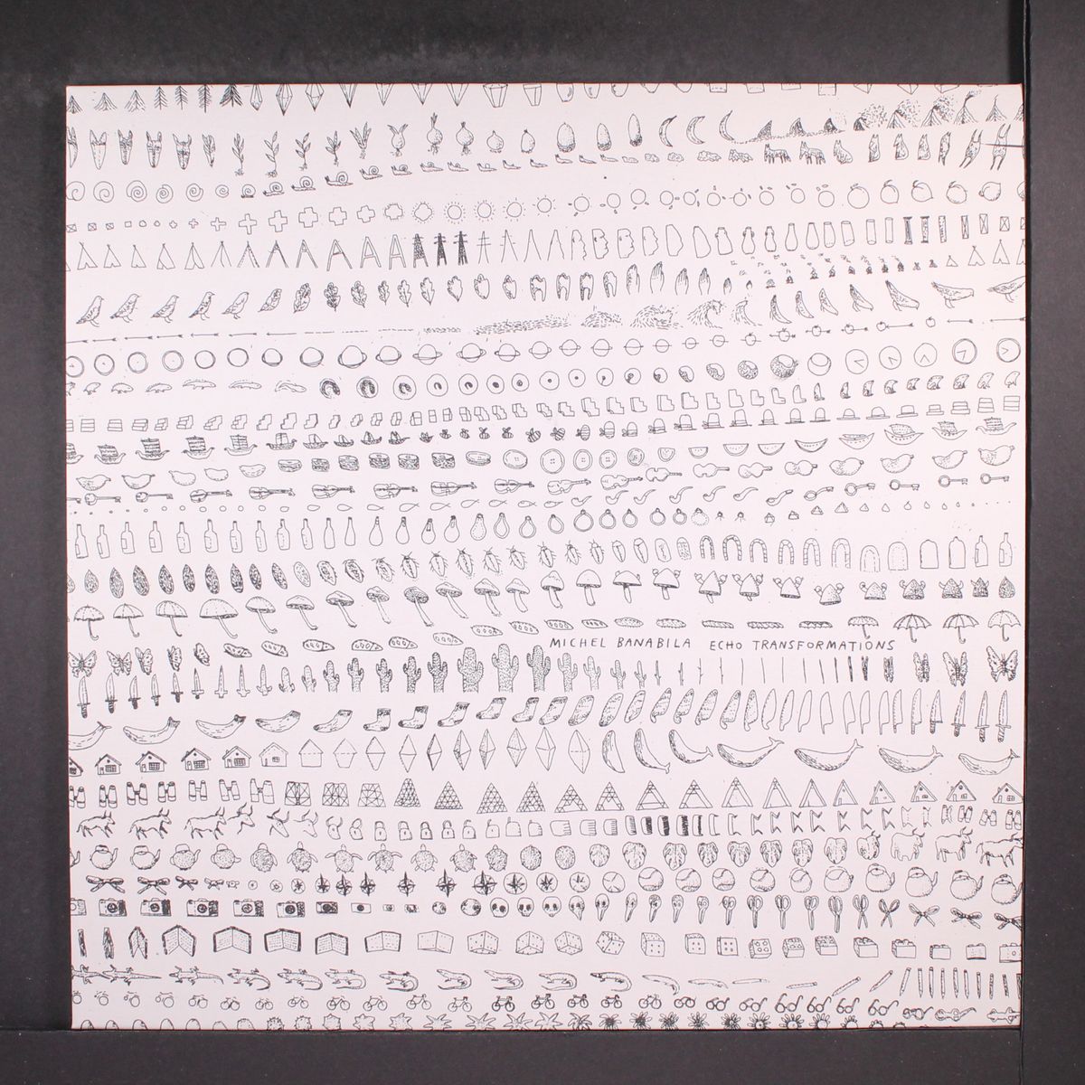 echo transformations by MICHEL BANABILA