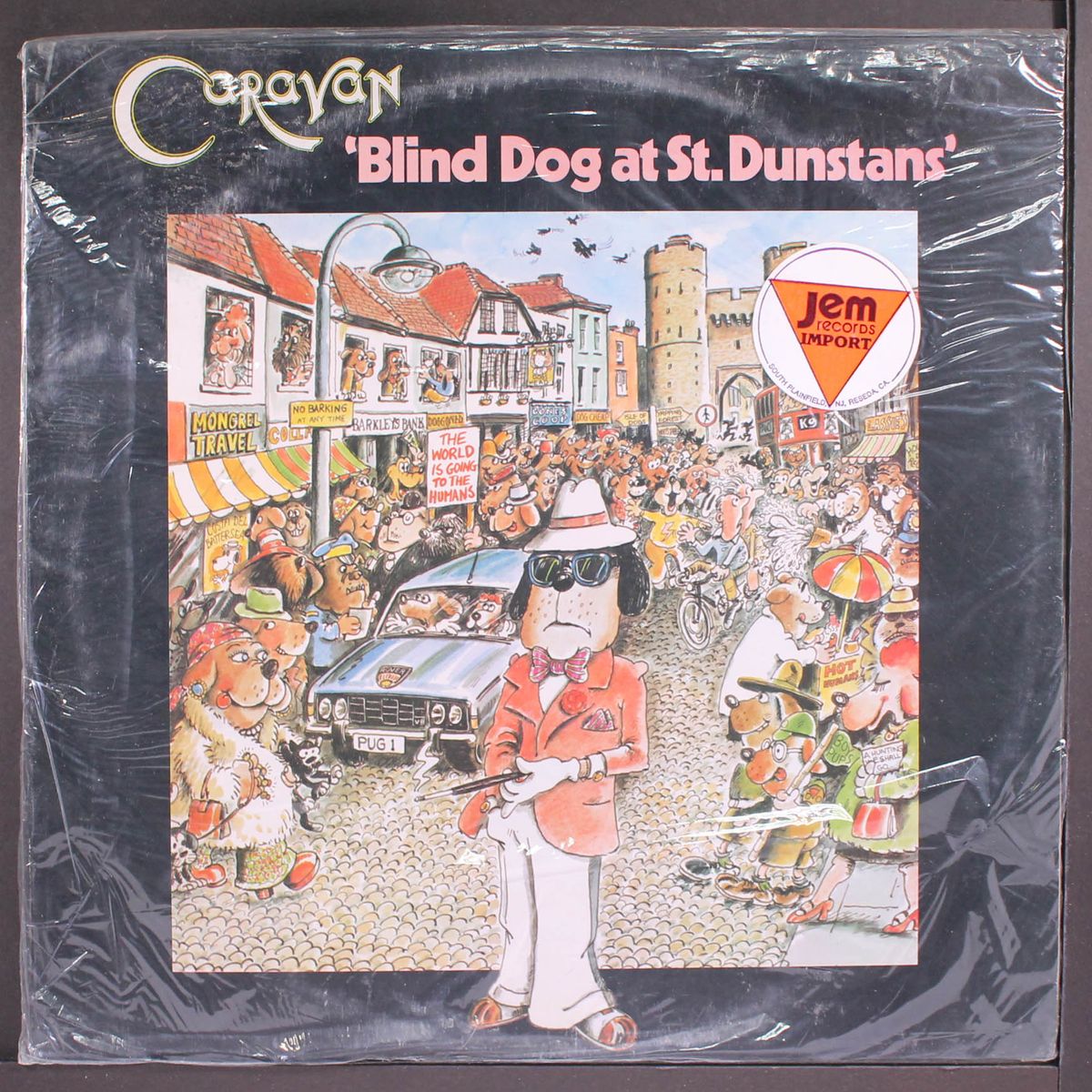 blind dog at st. dunstans by CARAVAN