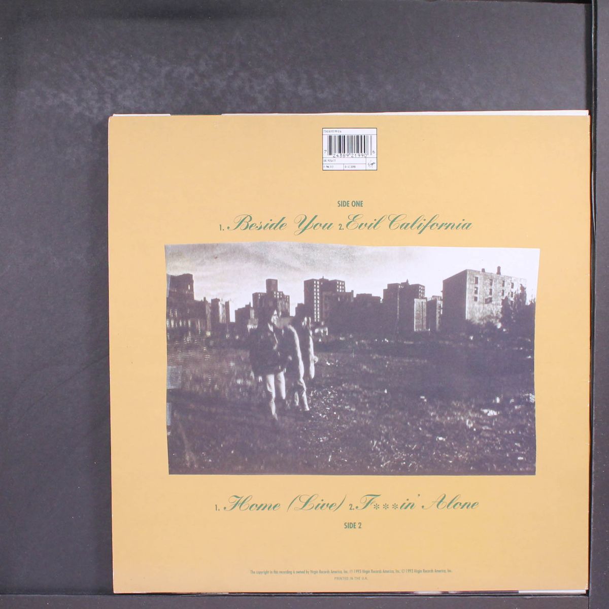 beside you by IGGY POP