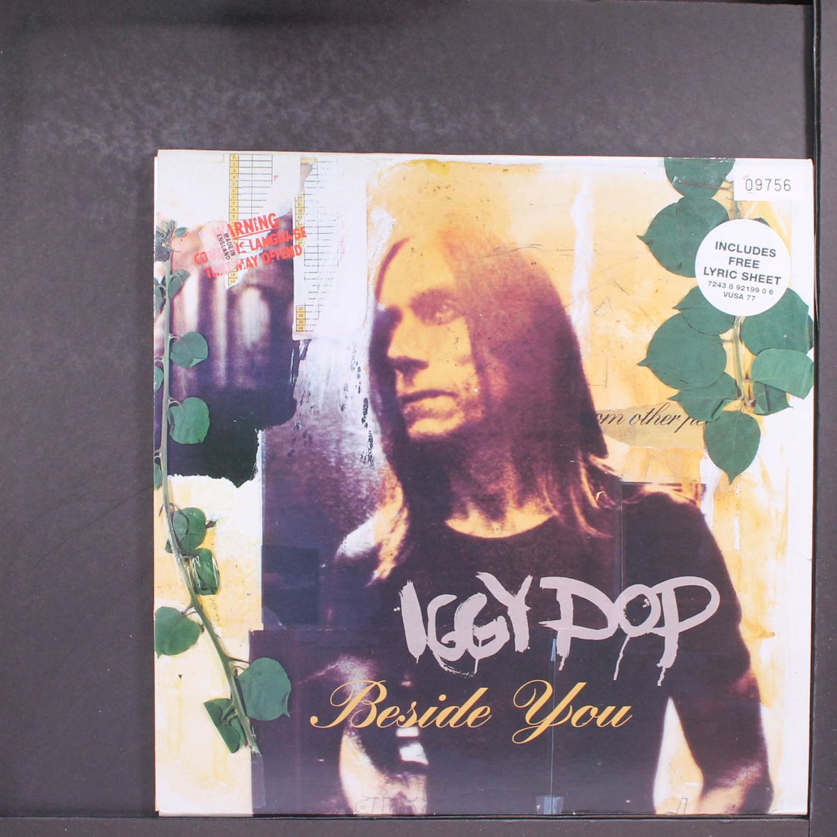 beside you by IGGY POP