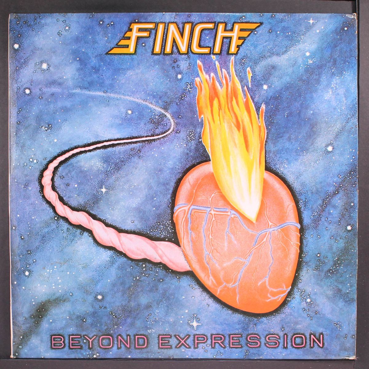 beyond expression by FINCH