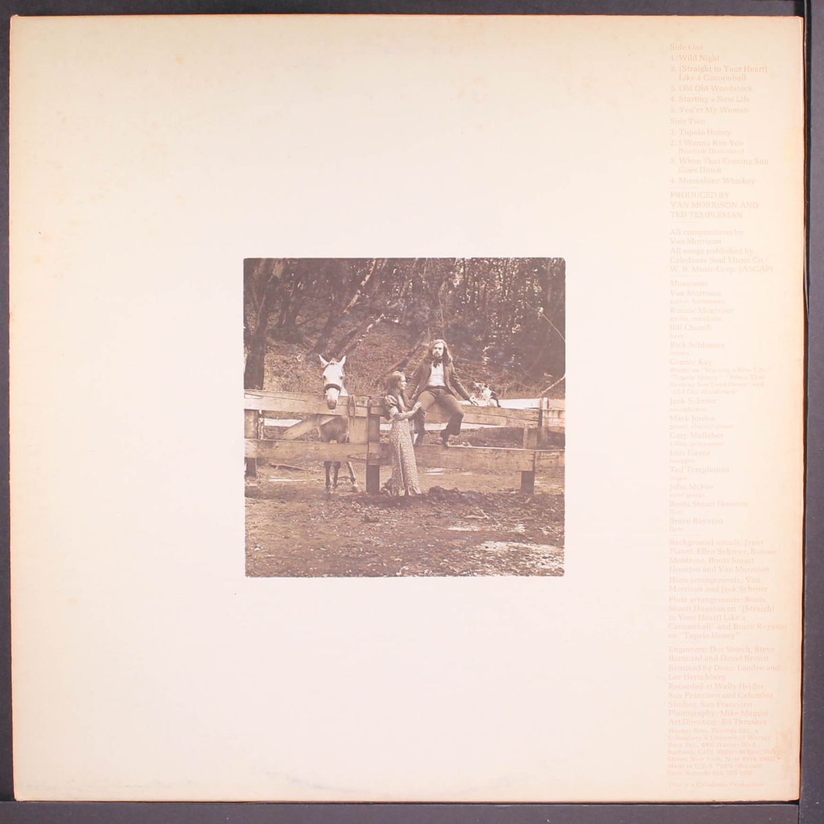 tupelo honey by VAN MORRISON