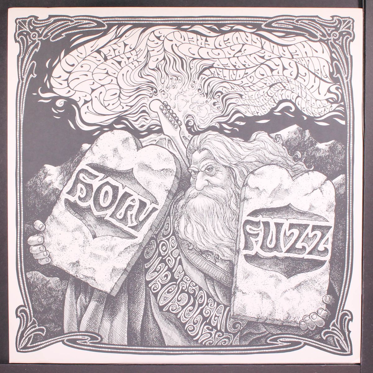 holy fuzz by VARIOUS