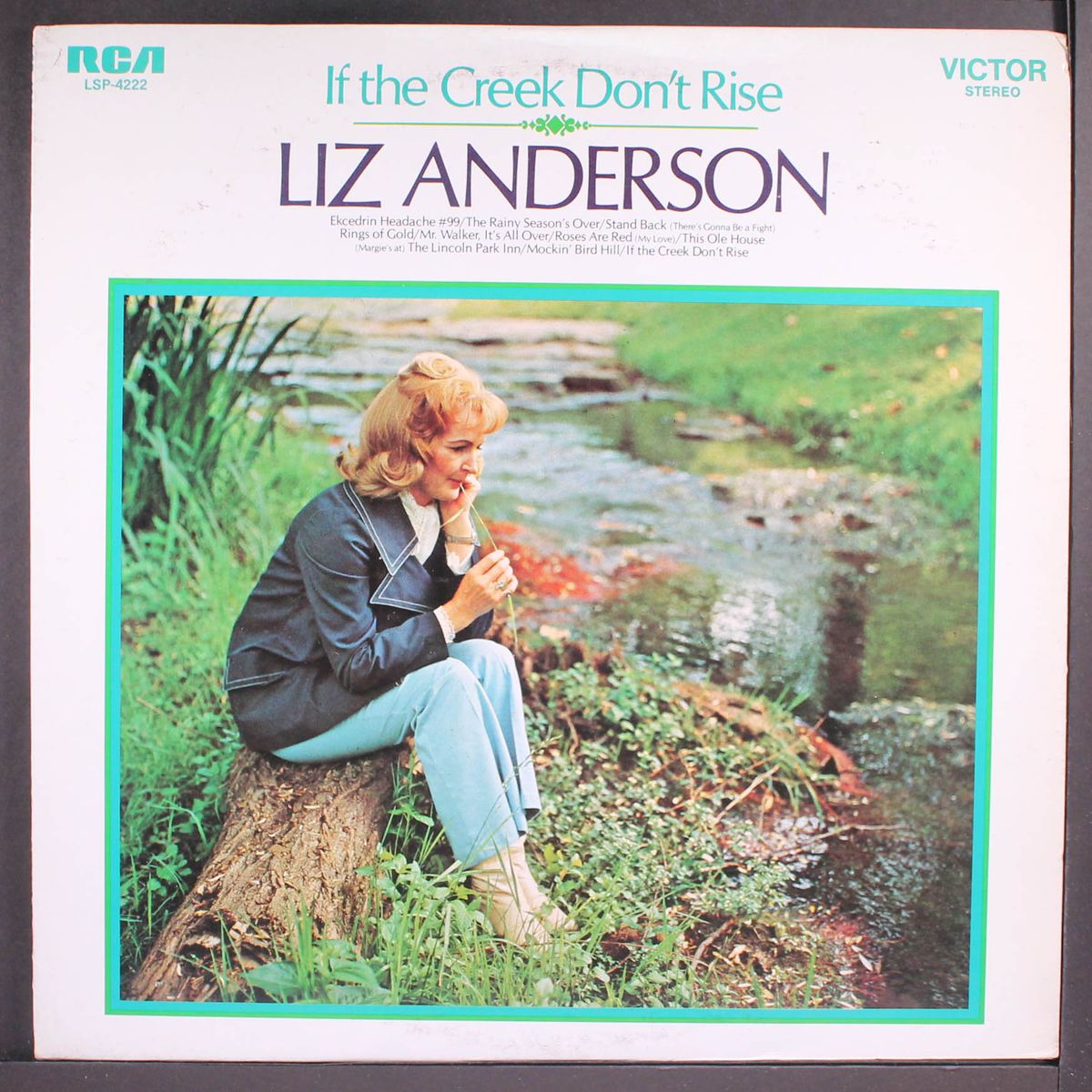 if the creek don't rise by LIZ ANDERSON
