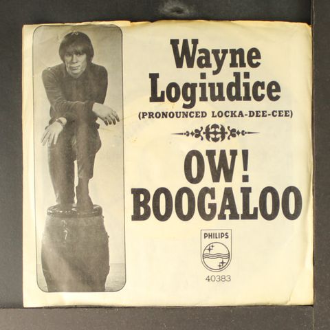 WAYNE LOGIUDICE