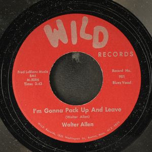 WALTER ALLEN