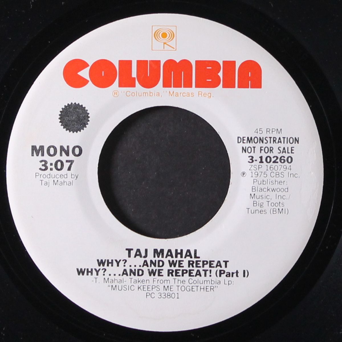 why?...and we repeat, why?...and we repeat! / mono by TAJ MAHAL