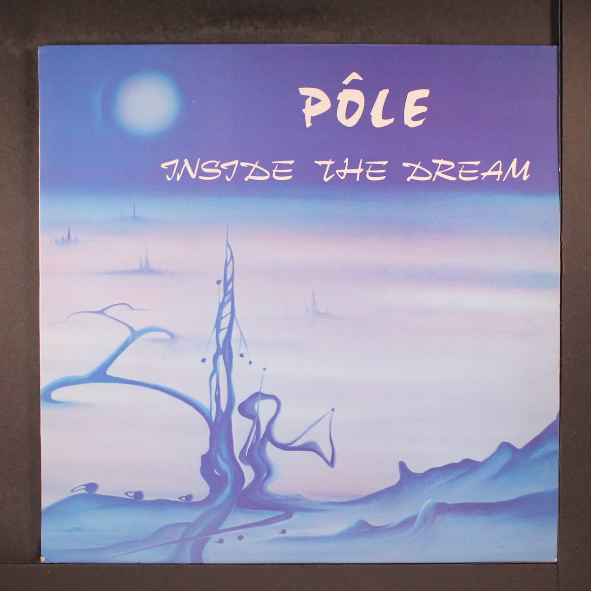 inside the dream by POLE