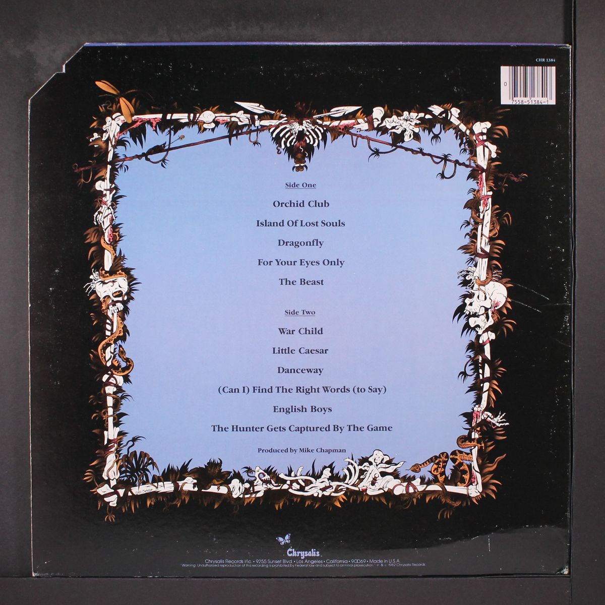 the hunter by BLONDIE