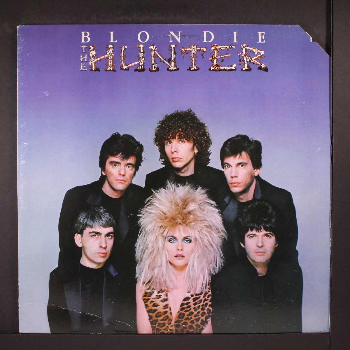 the hunter by BLONDIE