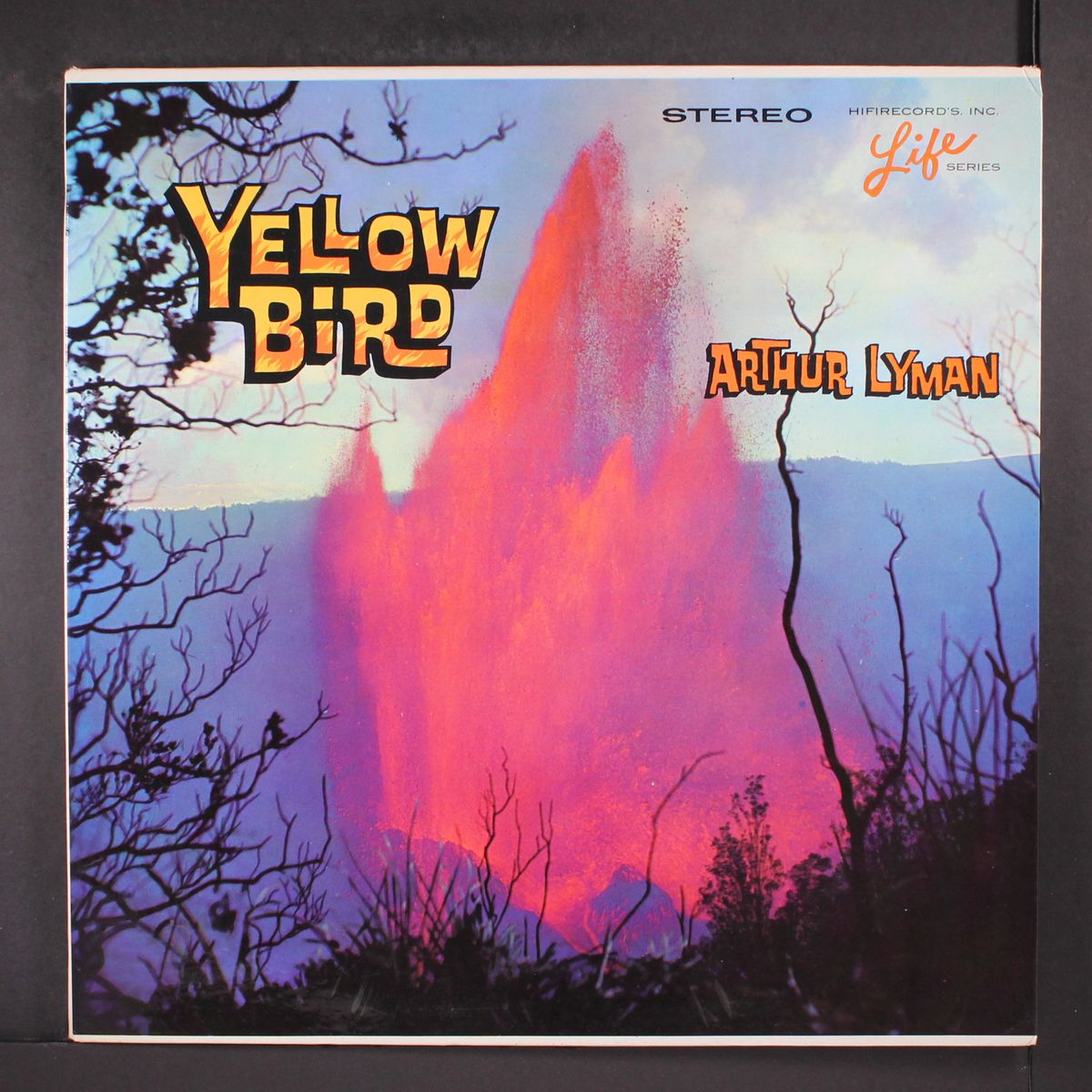 yellow bird by ARTHUR LYMAN