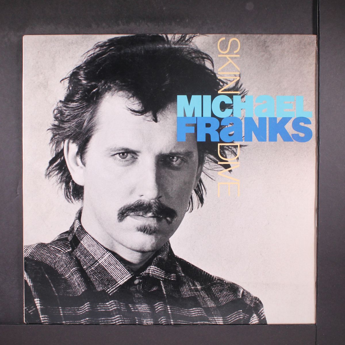 skin dive by MICHAEL FRANKS