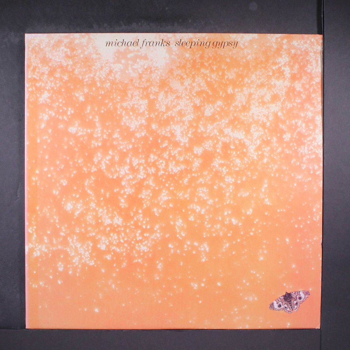 sleeping gypsy by MICHAEL FRANKS