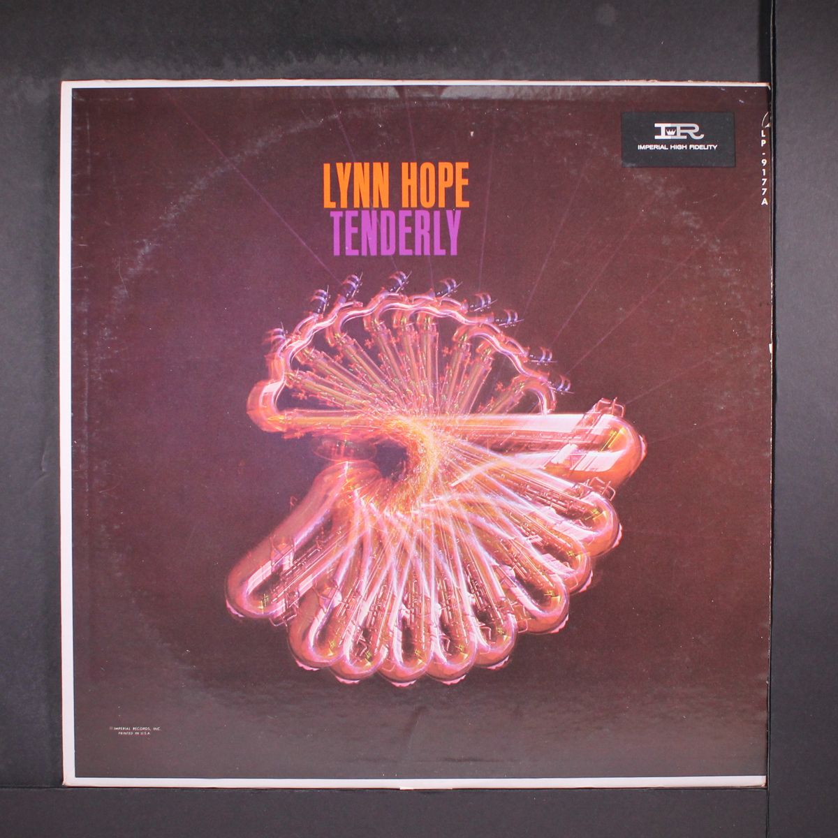 tenderly by LYNN HOPE