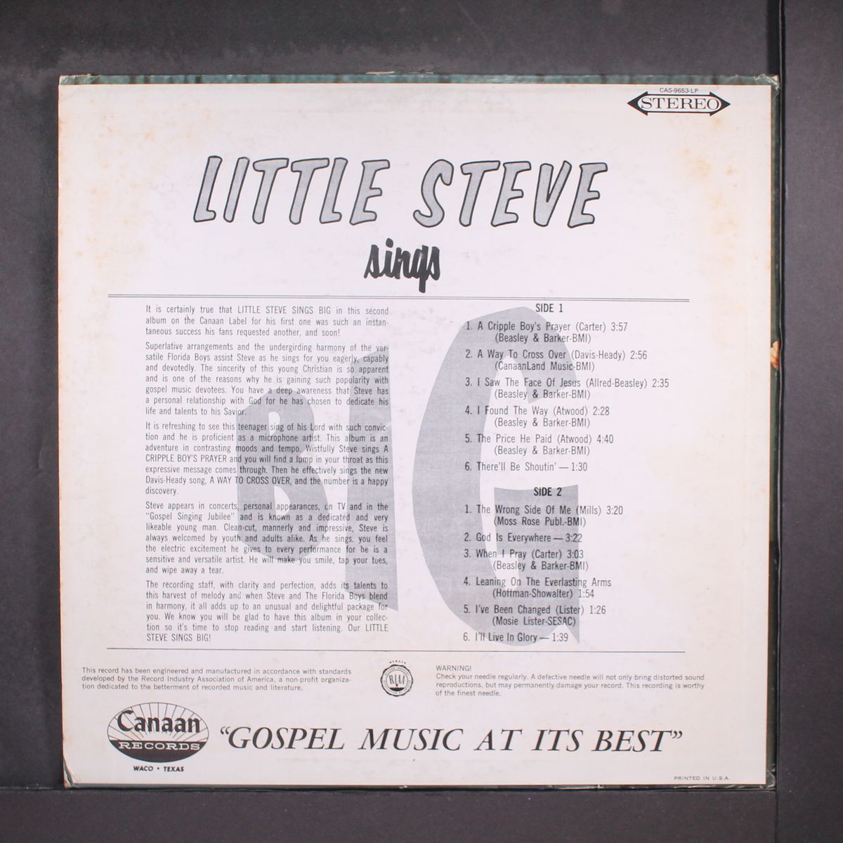 little steve sings big by STEVE SANDERS