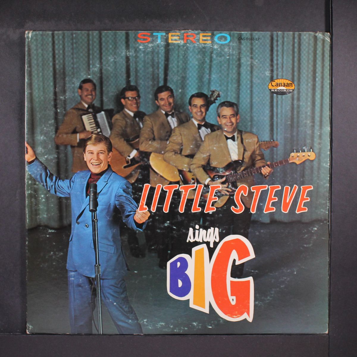 little steve sings big by STEVE SANDERS