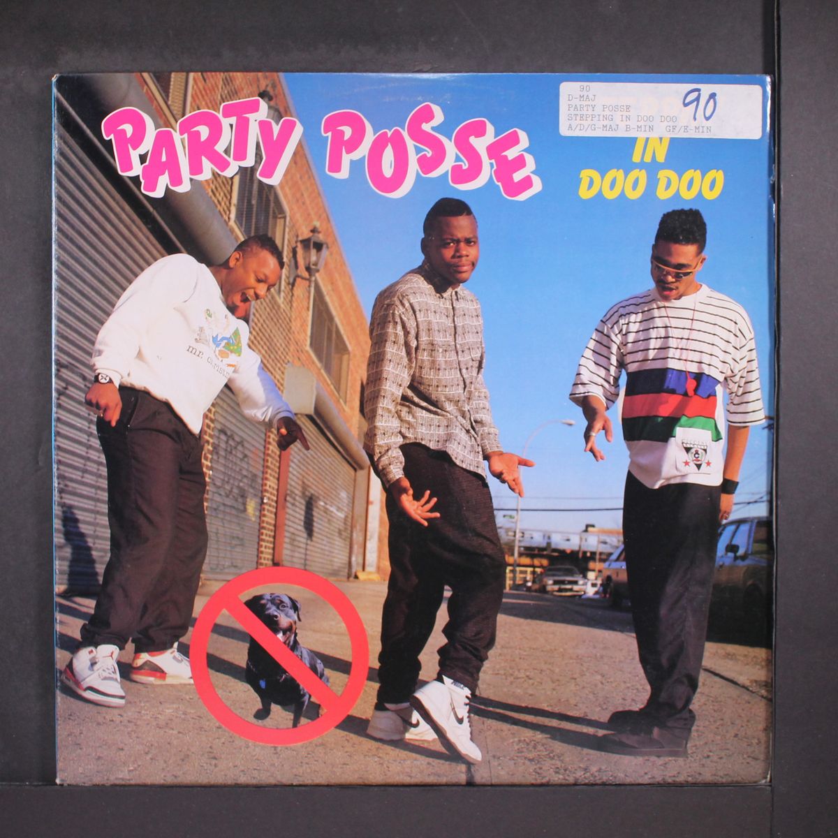 steppin' in doo doo by PARTY POSSE
