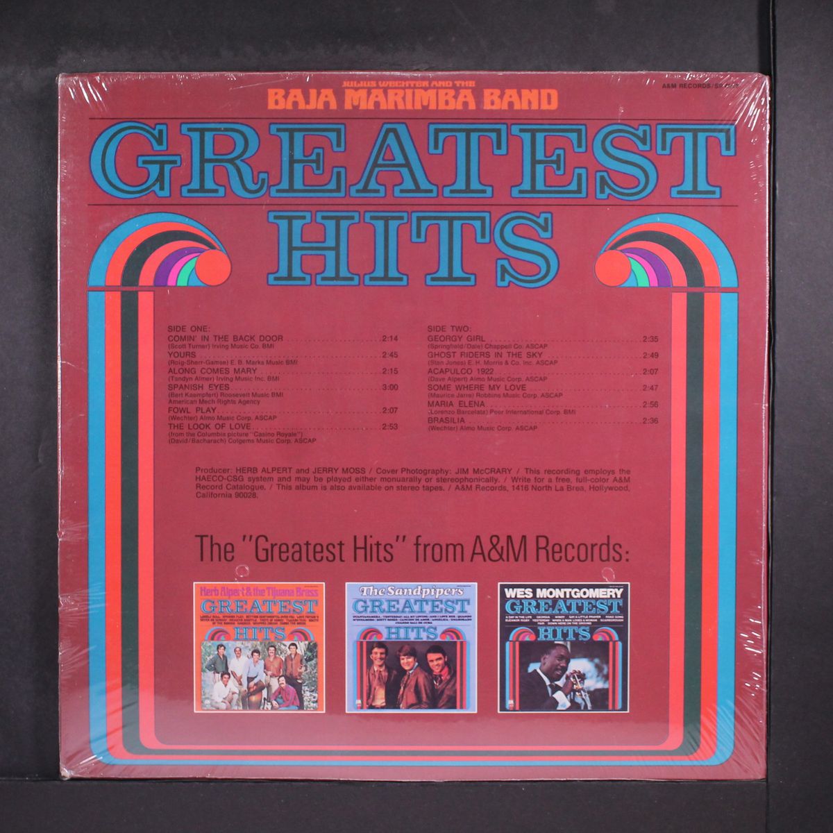greatest hits by BAJA MARIMBA BAND