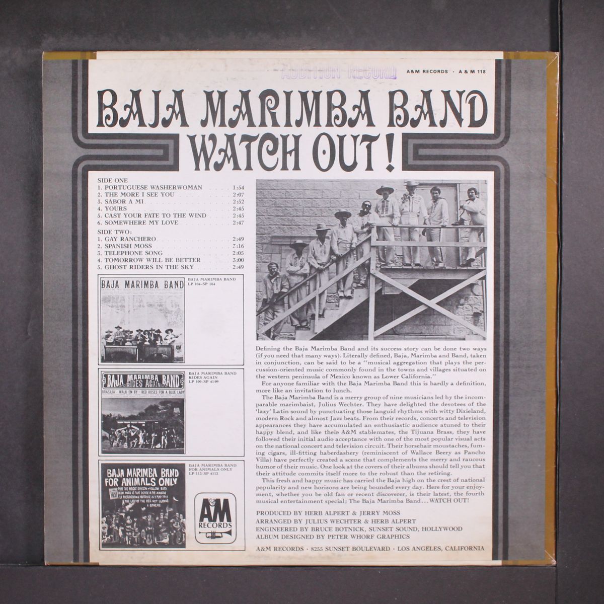 watch out! by BAJA MARIMBA BAND
