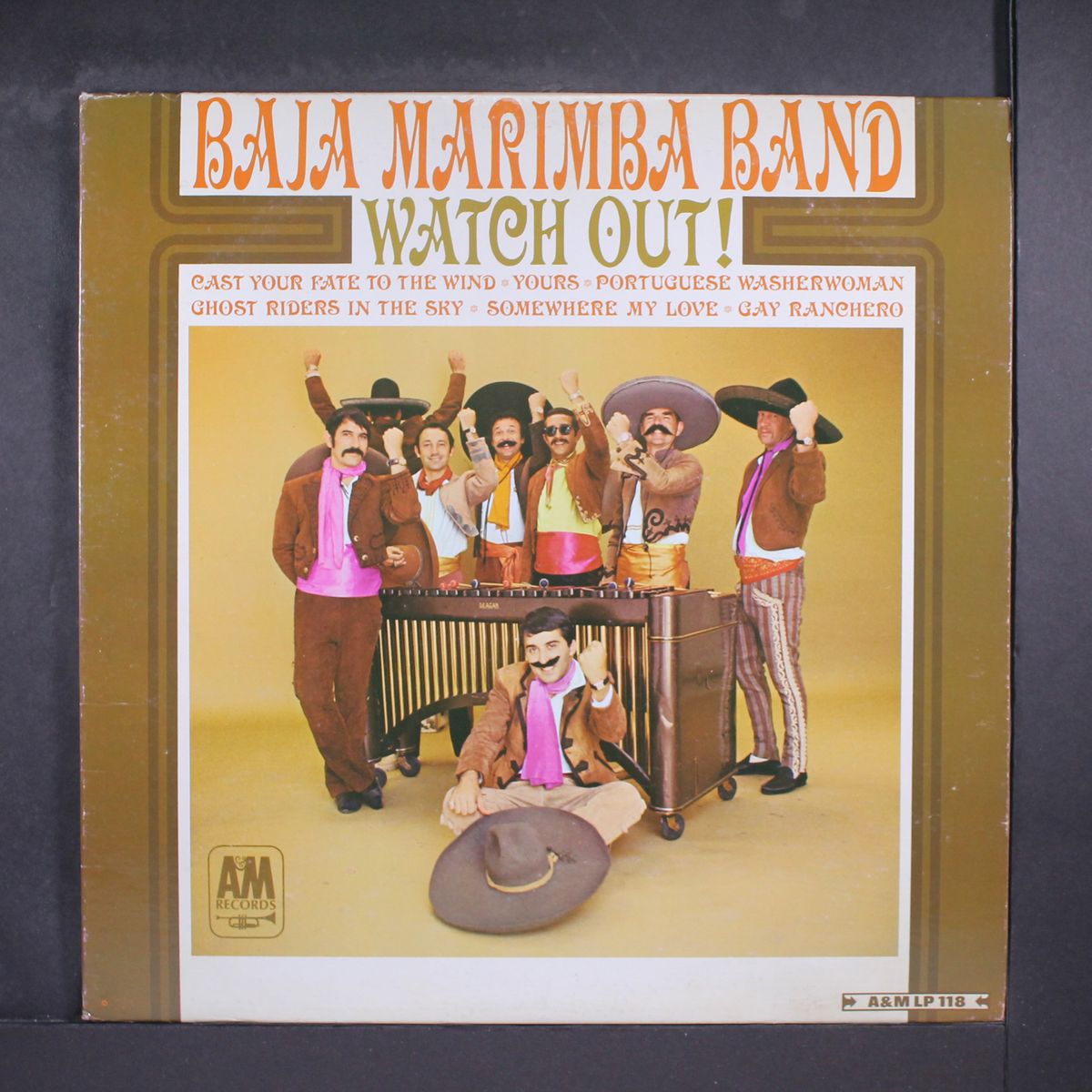 watch out! by BAJA MARIMBA BAND