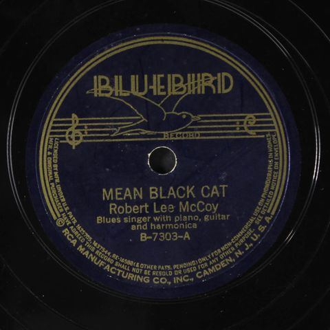 mean black cat / i have spent my bones by ROBERT LEE MCCOY