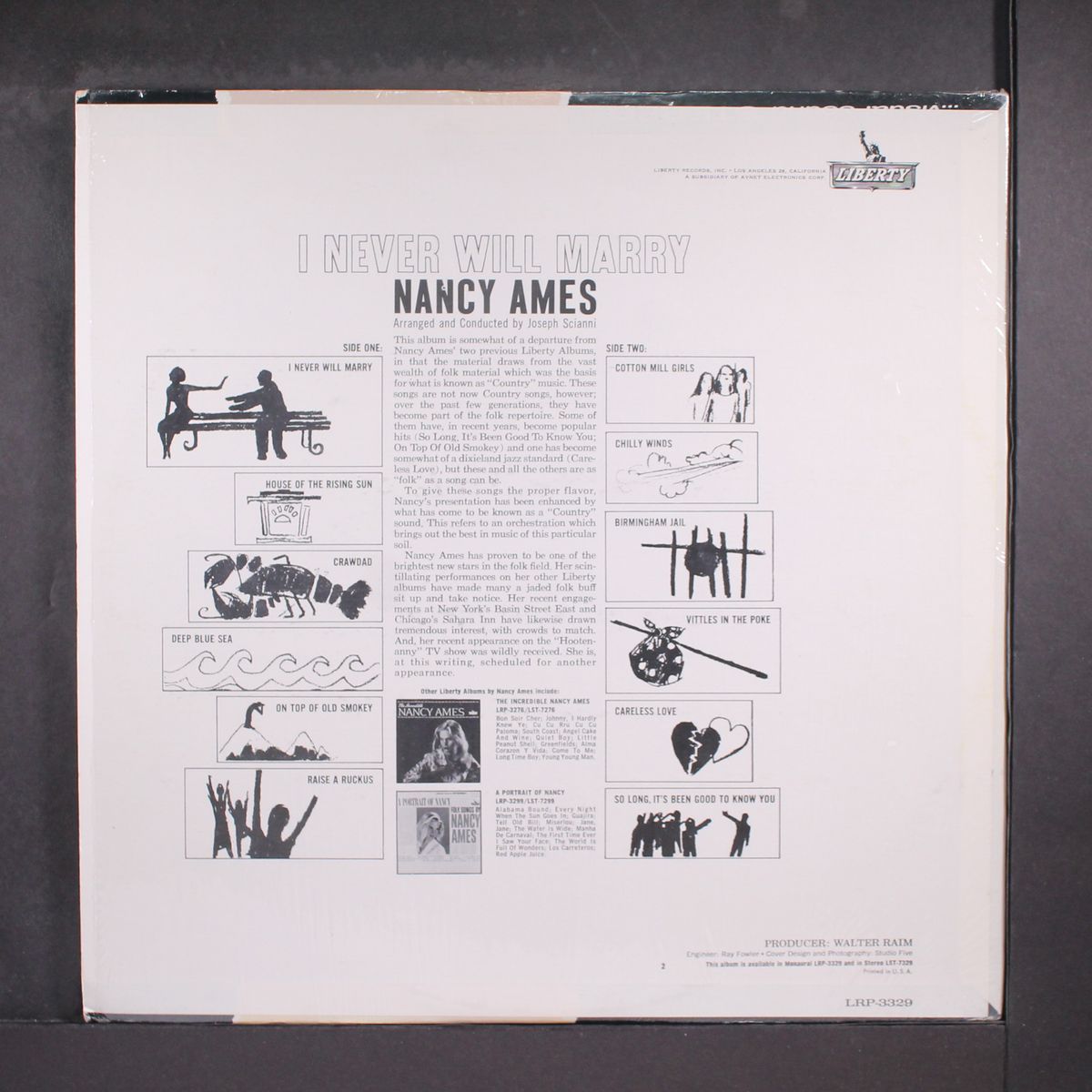 i never will marry by NANCY AMES