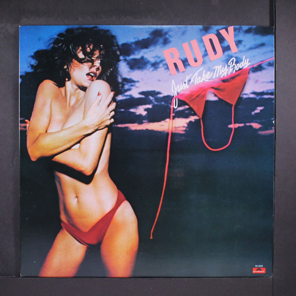 just take my body by RUDY