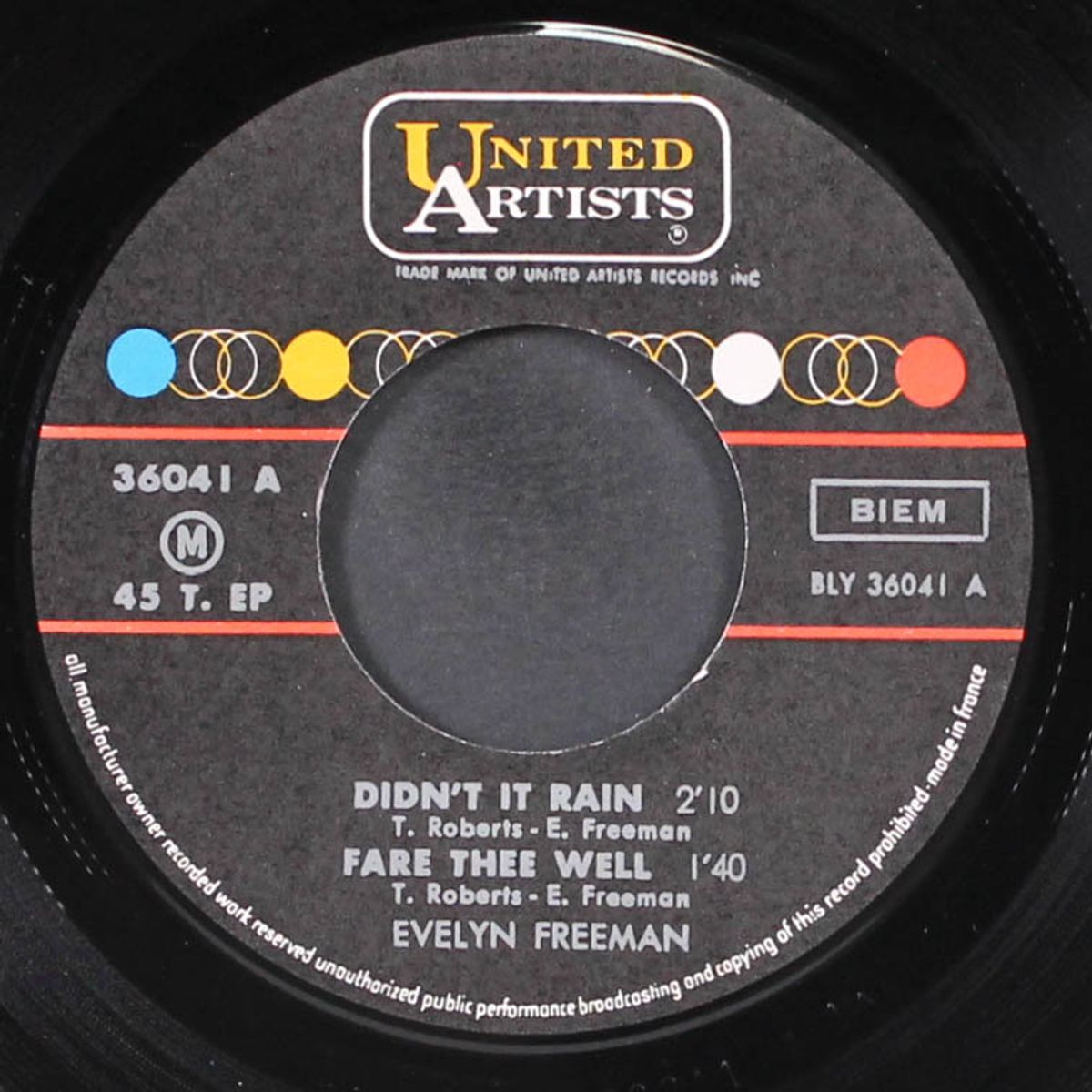 didn't it rain by EVELYN FREEMAN