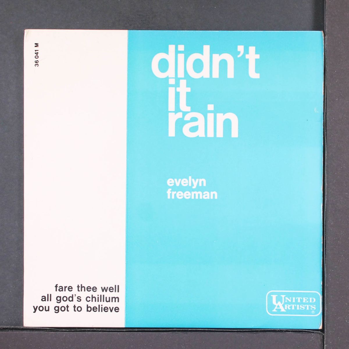 didn't it rain by EVELYN FREEMAN