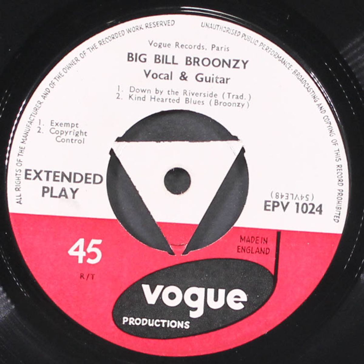 sings the blues by BIG BILL BROONZY