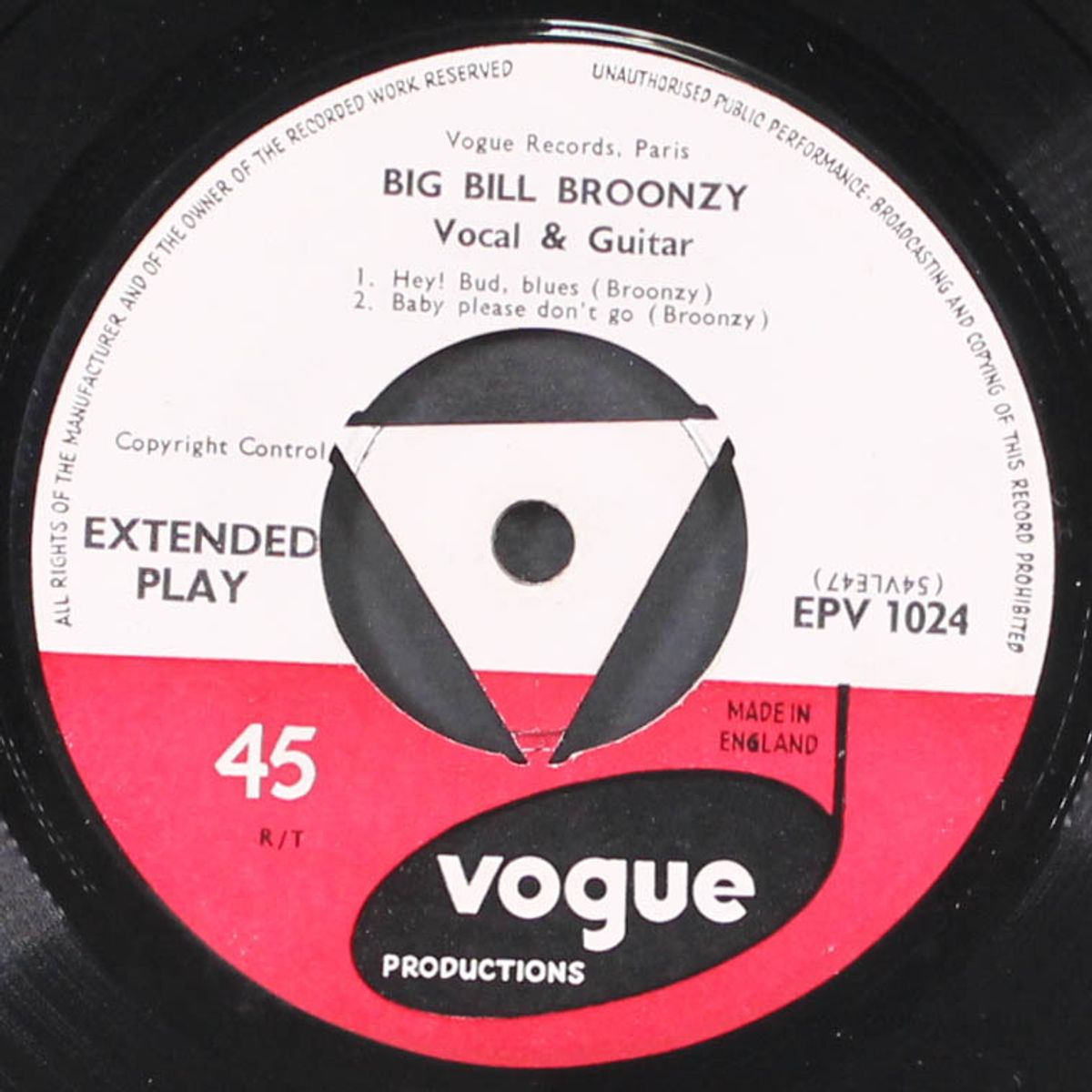 sings the blues by BIG BILL BROONZY