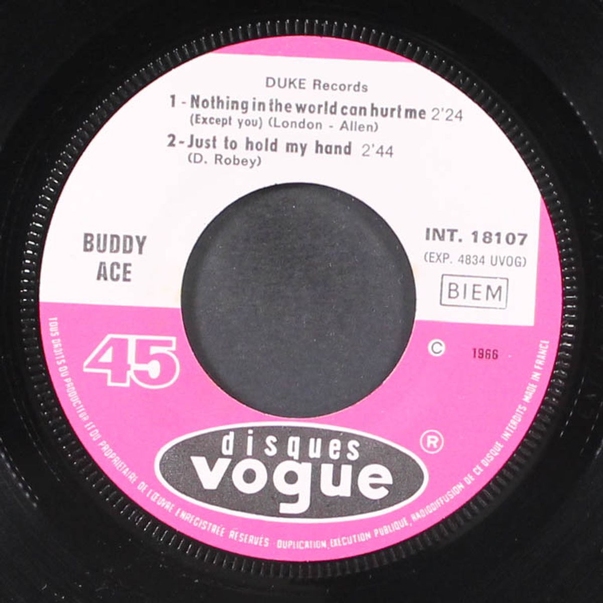 nothing in the world can hurt me by BUDDY ACE