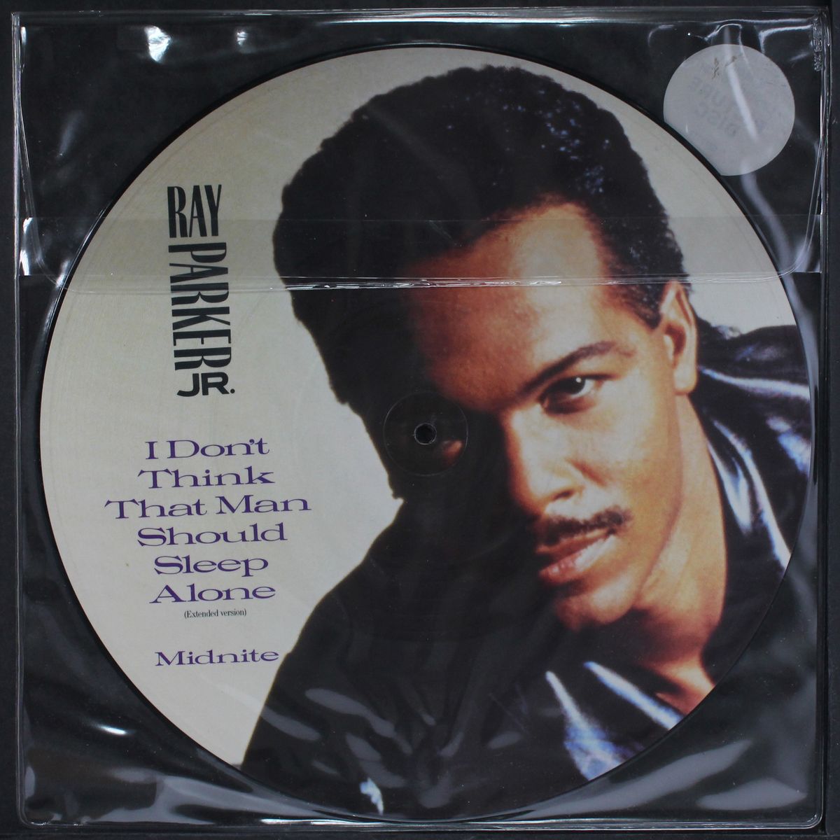 i don't think that man should sleep alone by RAY PARKER JR