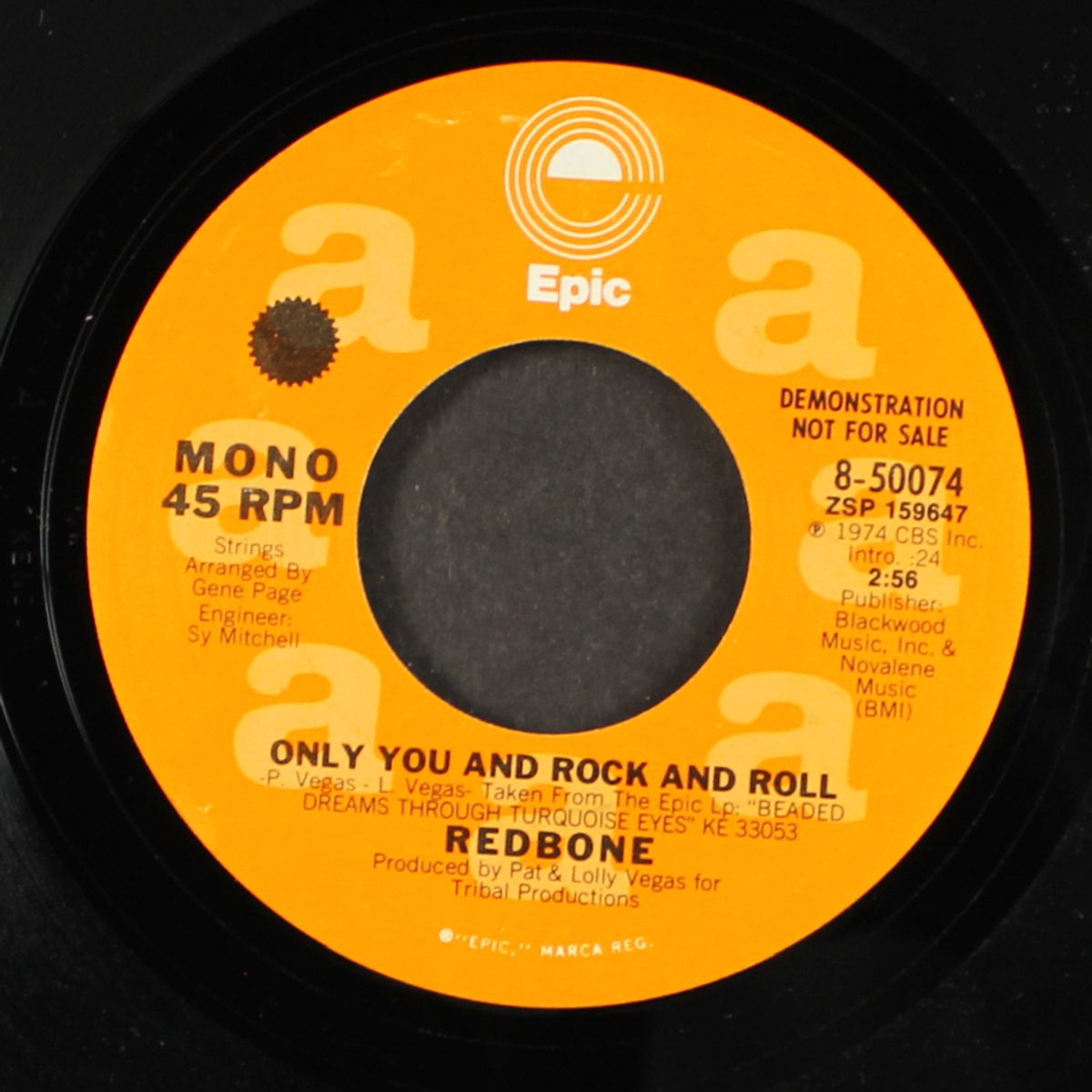 only you and rock and roll / mono by REDBONE