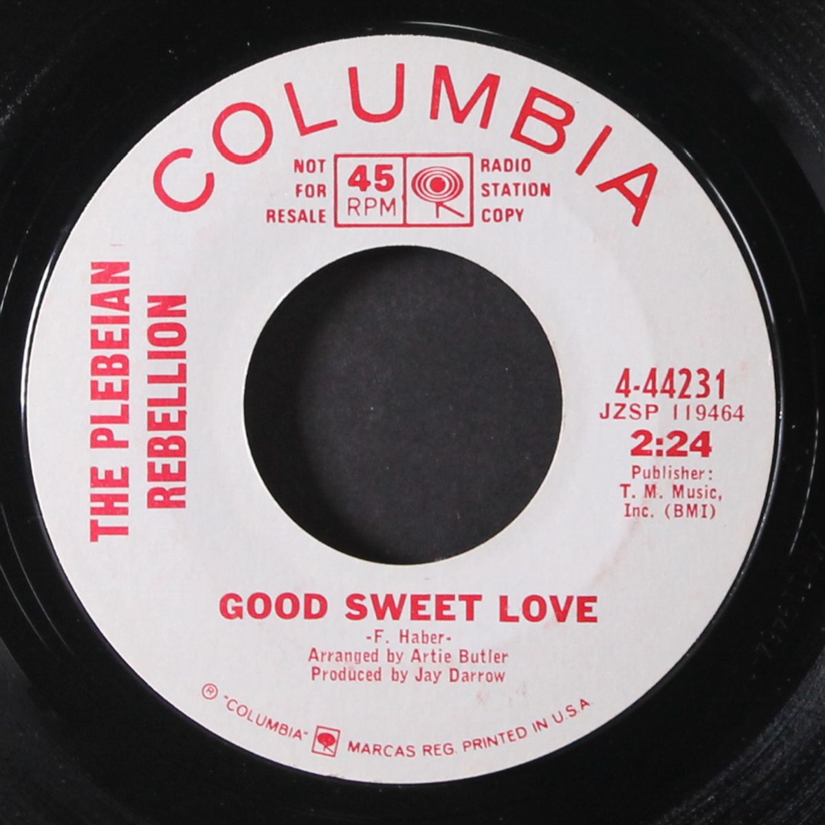 stick to your guns / good sweet life by PLEBEIAN REBELLION