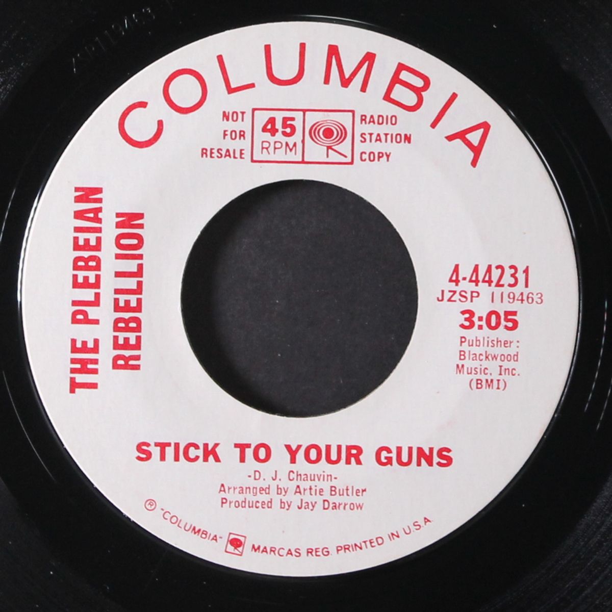 stick to your guns / good sweet life by PLEBEIAN REBELLION